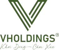 V-Holdings